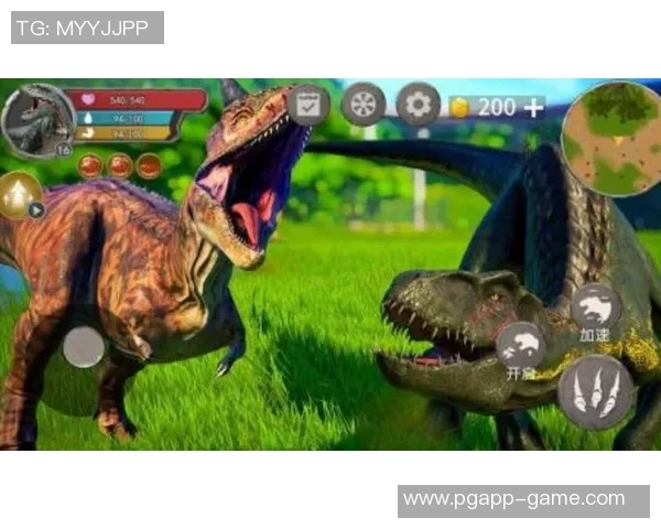 pg电子怎么卡游戏的bug-对于Pg电子游戏而言，识别和利用Bug的方法包括以下几个步骤，pg电子怎么卡游戏的bug